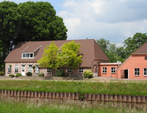 Metrotile Roman as roofing for B&B